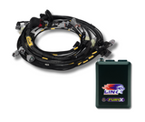 Toyota 3S-GE Beams Blacktop Engine Harness