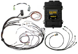 Haltech Elite 1500 + Mazda 13B S6-8 CAS with IGN-1A Ignition Terminated Harness Kit