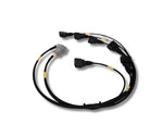 Universal 6 Cylinder Coil Harness