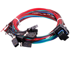MaxxECU RACE harness 2 (EGT, E-Throttle, extra)
