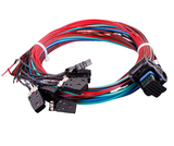 MaxxECU RACE harness 2 (EGT, E-Throttle, extra)