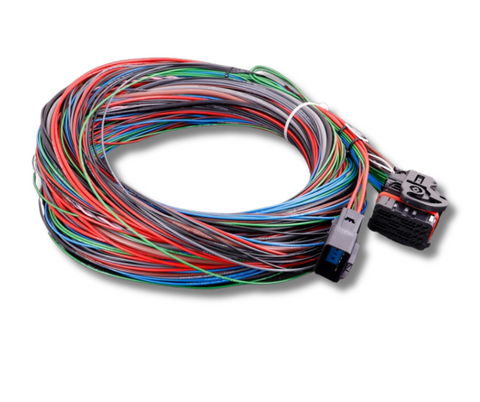 MaxxECU V1/RACE/PRO flying lead wiring harness connector 1