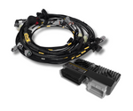 Toyota 3S-GE Beams Blacktop Engine Harness