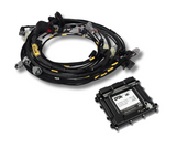 Toyota 3S-GE Beams Blacktop Engine Harness