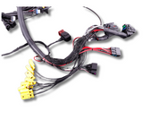 Terminated Engine Harness - GM LS GEN III/IV including MaxxECU RACE Kit