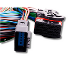MaxxECU V1/RACE/PRO flying lead wiring harness connector 1