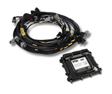 Toyota 3S-GE Beams Blacktop Engine Harness