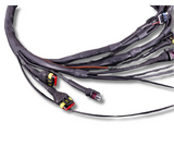 Terminated Engine Harness - GM LS GEN III/IV including MaxxECU RACE Kit