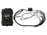 Haltech Elite 2500 + GM GEN III LS1 & LS6 non DBW Terminated Harness Kit Injector Connector: Bosch EV1 (as per factory)