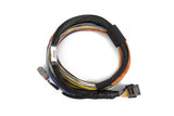 Haltech Nexus T1/T2 Basic Harness