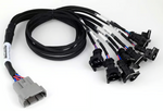 Haltech Nexus Universal V8 - Junior Timer (EV1) Injector Primary Breakout