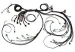 Haltech Nexus R5 LSx DBW Terminated Harness - DBW ready Injector Connector: EV6