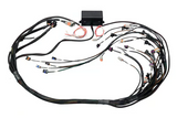 Haltech Elite 2500 + GM GEN IV LSx (LS2/LS3 etc) non DBW Terminated Harness Kit