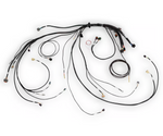 Haltech Nexus Rebel LS Terminated Harness for Nexus Rebel LS ECU