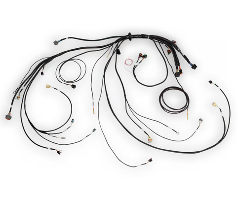 Haltech Nexus Rebel LS Terminated Harness for Nexus Rebel LS ECU