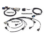Haltech NEXUS Rebel LS Gen III Terminated Harness