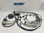 Honda K20/K24 RWD Engine Harness