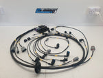 Cosworth YB Engine Harness